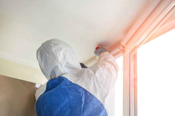 Best Emergency Mold Remediation  in Morada, CA